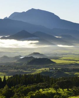 La Plaine des Cafres